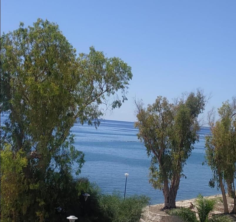 Galatex Μaisonette Lägenhet Limassol Exteriör bild