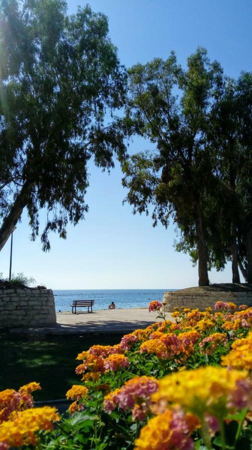 Galatex Μaisonette Lägenhet Limassol Exteriör bild